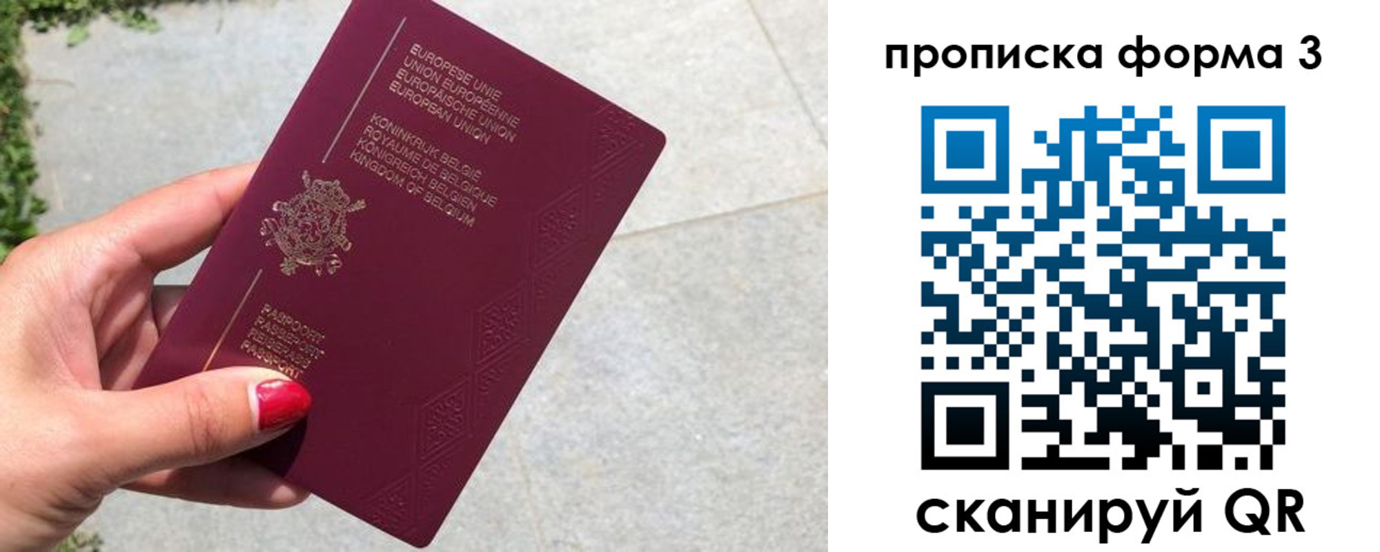 прописка для школы в Серпухове